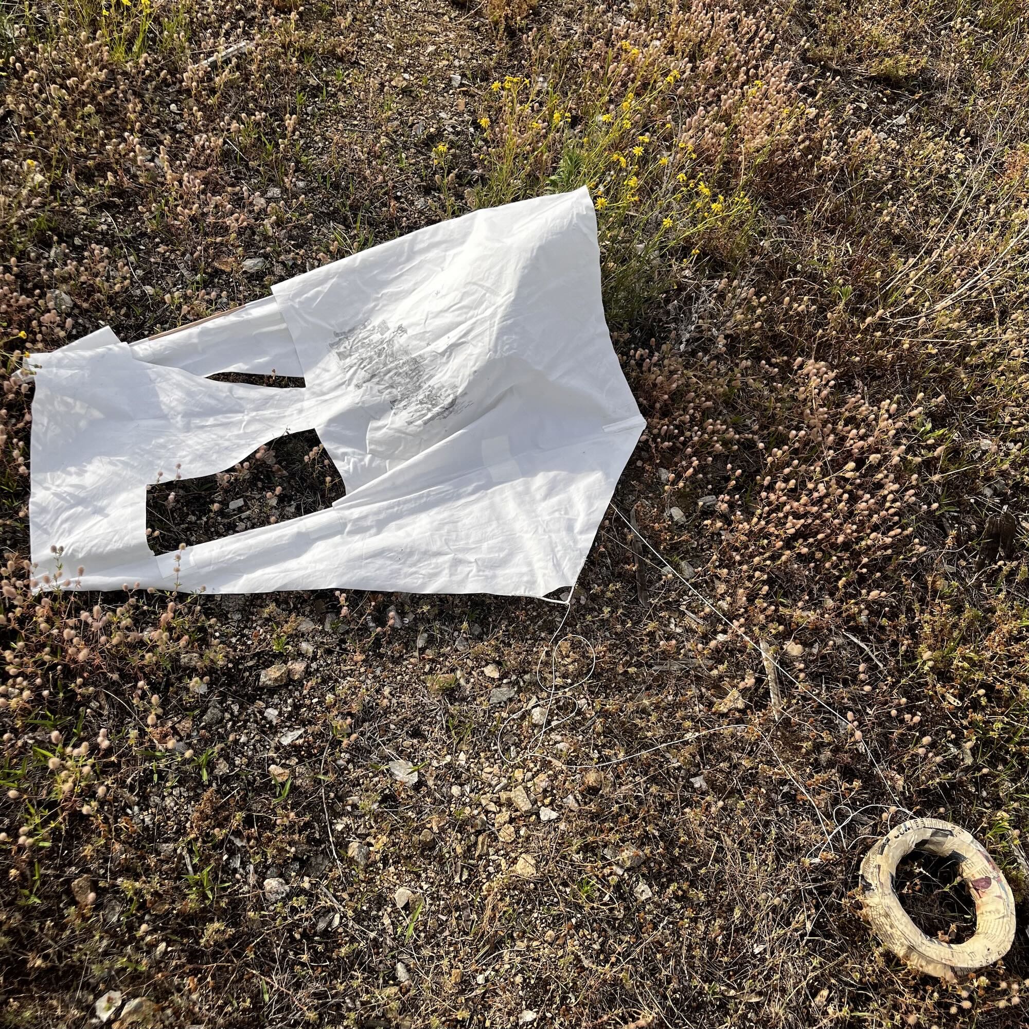 Drachen am Boden / Kite on the Ground