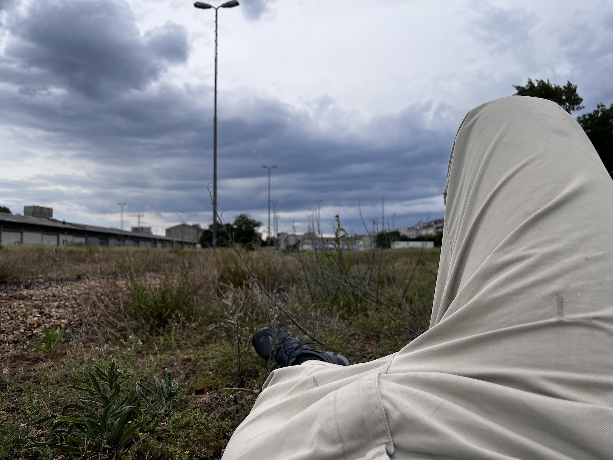 POV: Liegender Mensch in Wiese / POV: Human lying on the grass